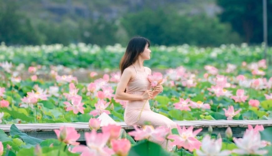Cẩm Nang Hẹn Hò Mùa Sen Ninh Bình: Khi Sắc Hồng Thắm Nhuộm Đất Cố Đô
