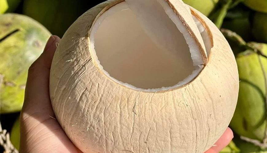 5 món ăn Việt Nam vào danh sách 100 món có dừa ngon nhất thế giới