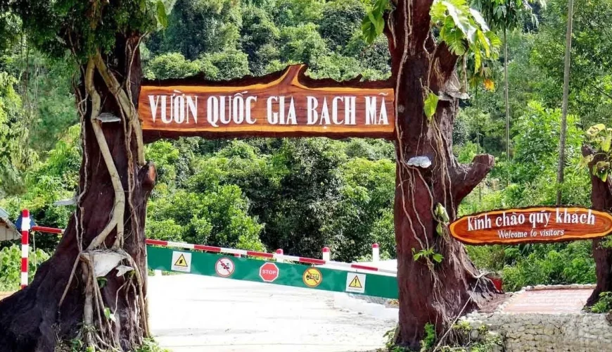 Vườn Quốc Gia Bạch Mã: Nơi Giao Hòa Kỳ Diệu Giữa Thiên Nhiên và Lịch Sử Cố Đô