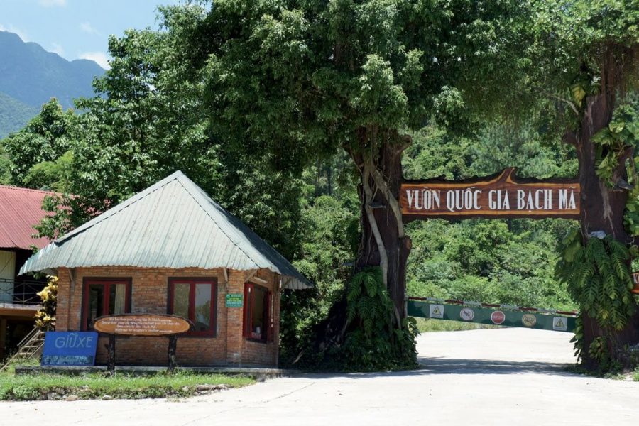 HUẾ – VƯỜN QUỐC GIA BẠCH MÃ – BẠCH MÃ VILLAGE- HUẾ 2025