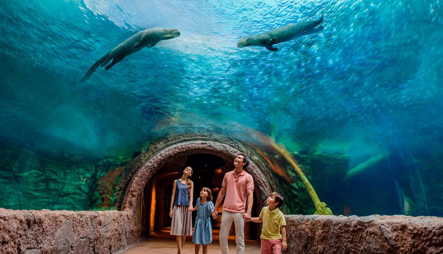 River Wonders Singapore – Chuyến “lạc trôi” khiến bạn thay đổi cách nhìn về thiên nhiên