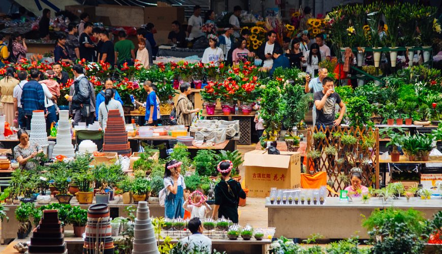 Toàn cảnh khu vực bán hoa tươi tại chợ hoa Đấu Nam.