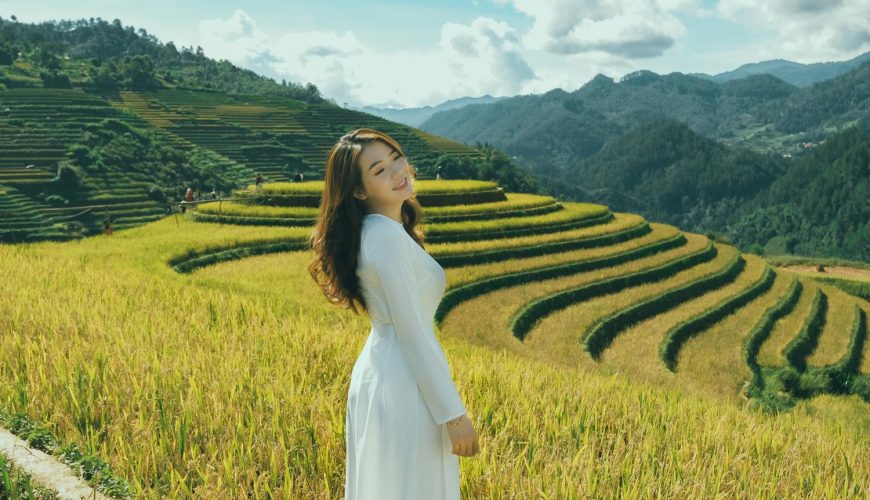 Ruộng bậc thang Tây Bắc mùa lúa chín.