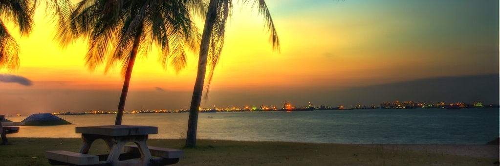 Cảnh bình minh rực rỡ trên mặt biển tại East Coast Park, với ánh nắng vàng cam chiếu rọi qua rặng dừa.