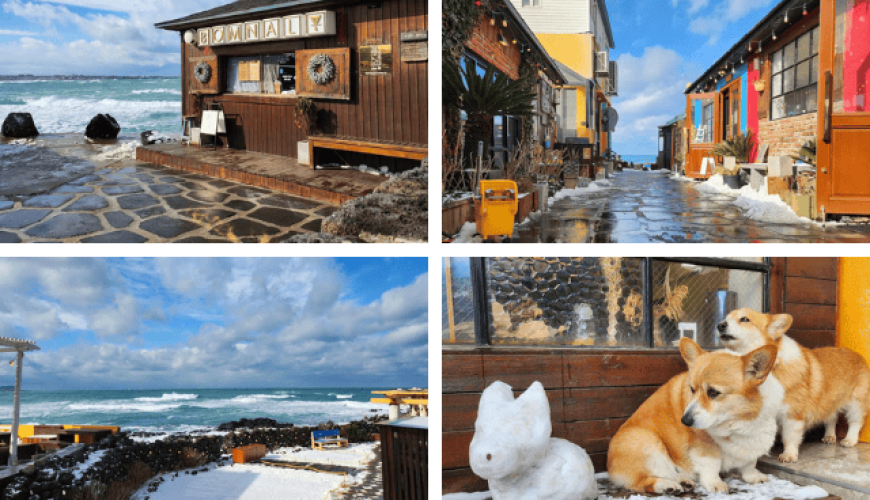 Top 4 Quán Cà Phê Cực Chill Trên Đảo Jeju Nhất Định Phải Ghé
