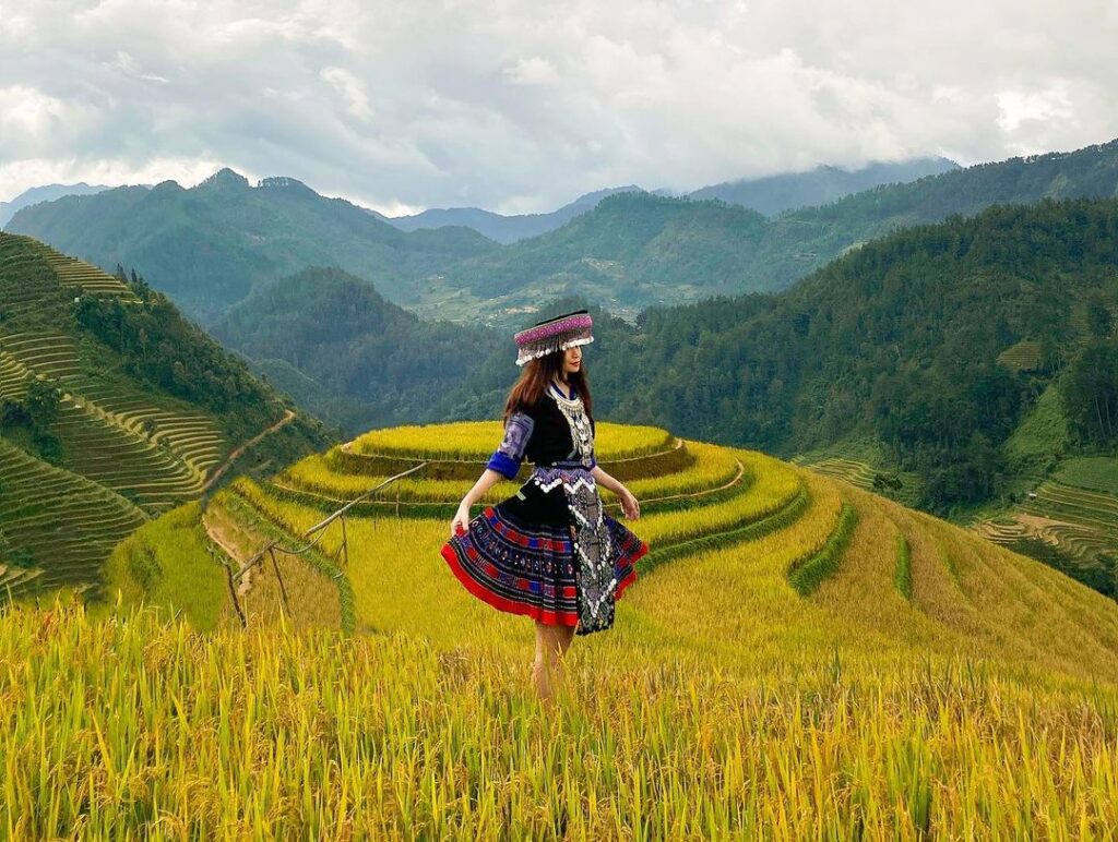 Toàn cảnh Đồi Mâm Xôi (La Pán Tẩn) ở Mù Cang Chải, với các thửa ruộng bậc thang hình xoắn ốc chuyển sang màu vàng rực rỡ của lúa chín.