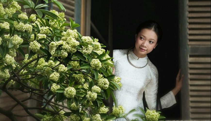 Một cô gái đi xe đạp qua con phố ngập tràn lá vàng rơi và hoa sữa nở, thể hiện sự lãng mạn của mùa thu.