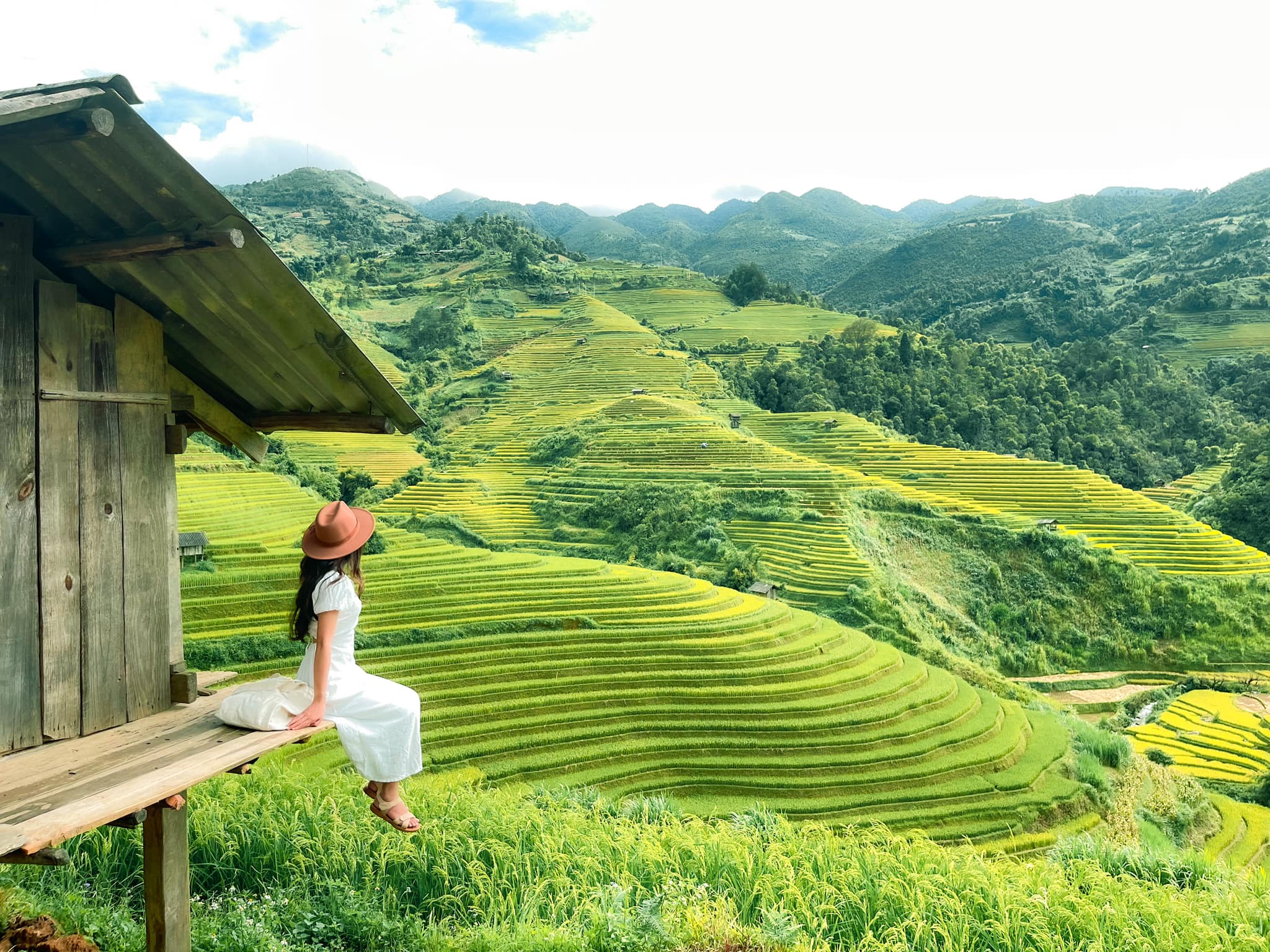 Quang cảnh rộng lớn của ruộng bậc thang Mù Cang Chải mùa thu hoạch, với những thửa ruộng vàng óng nối tiếp nhau.