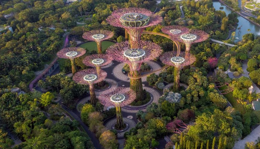 Gardens by the Bay Singapore – “Vườn Địa Đàng Tương Lai” Giữa Lòng Đô Thị