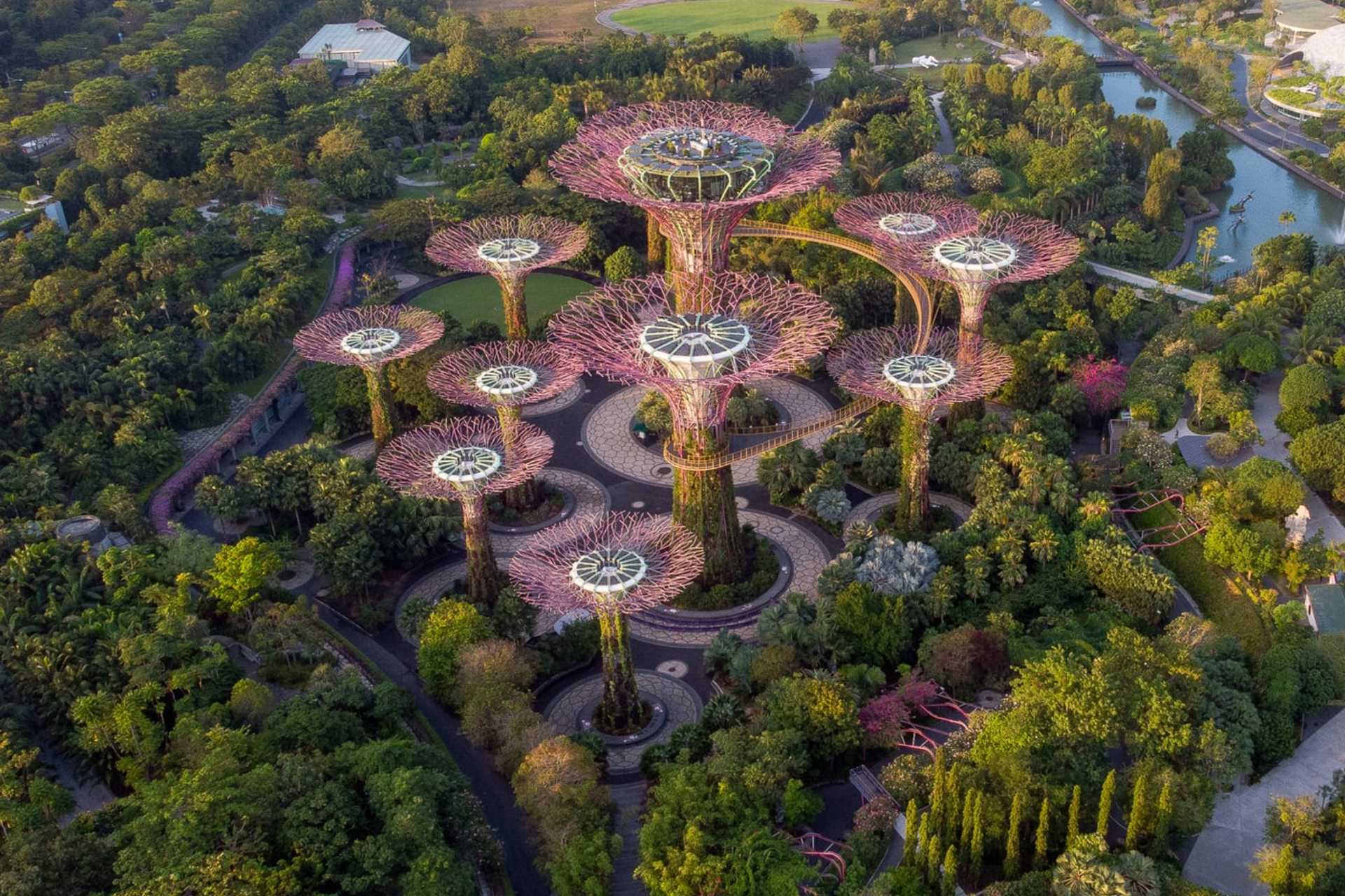 Gardens by the Bay Singapore – “Vườn Địa Đàng Tương Lai” Giữa Lòng Đô Thị