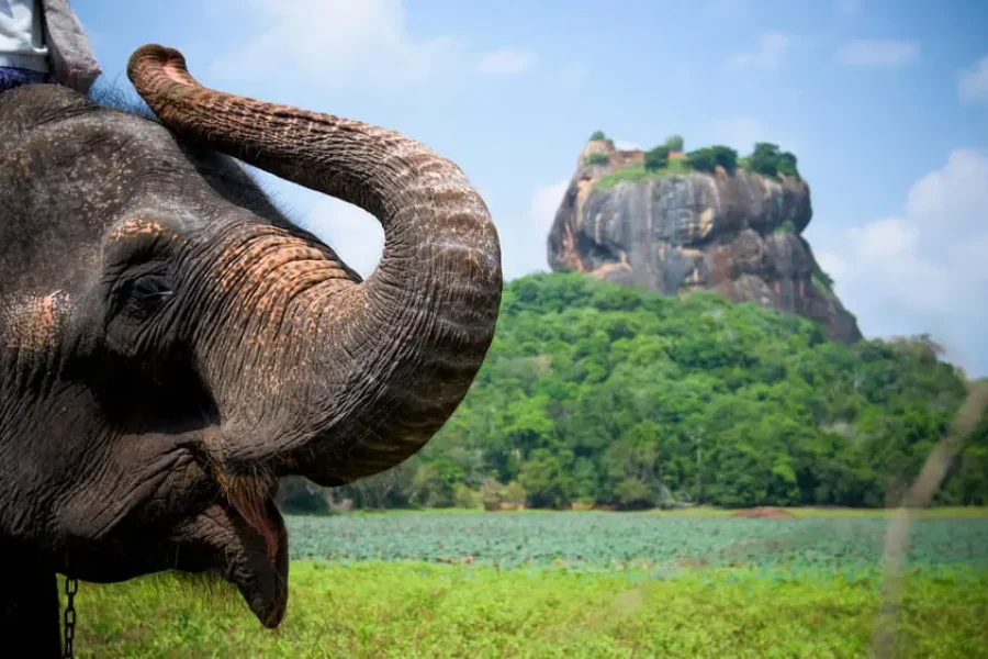 KHÁM PHÁ HÒN NGỌC ẤN ĐỘ DƯƠNG SRI LANKA