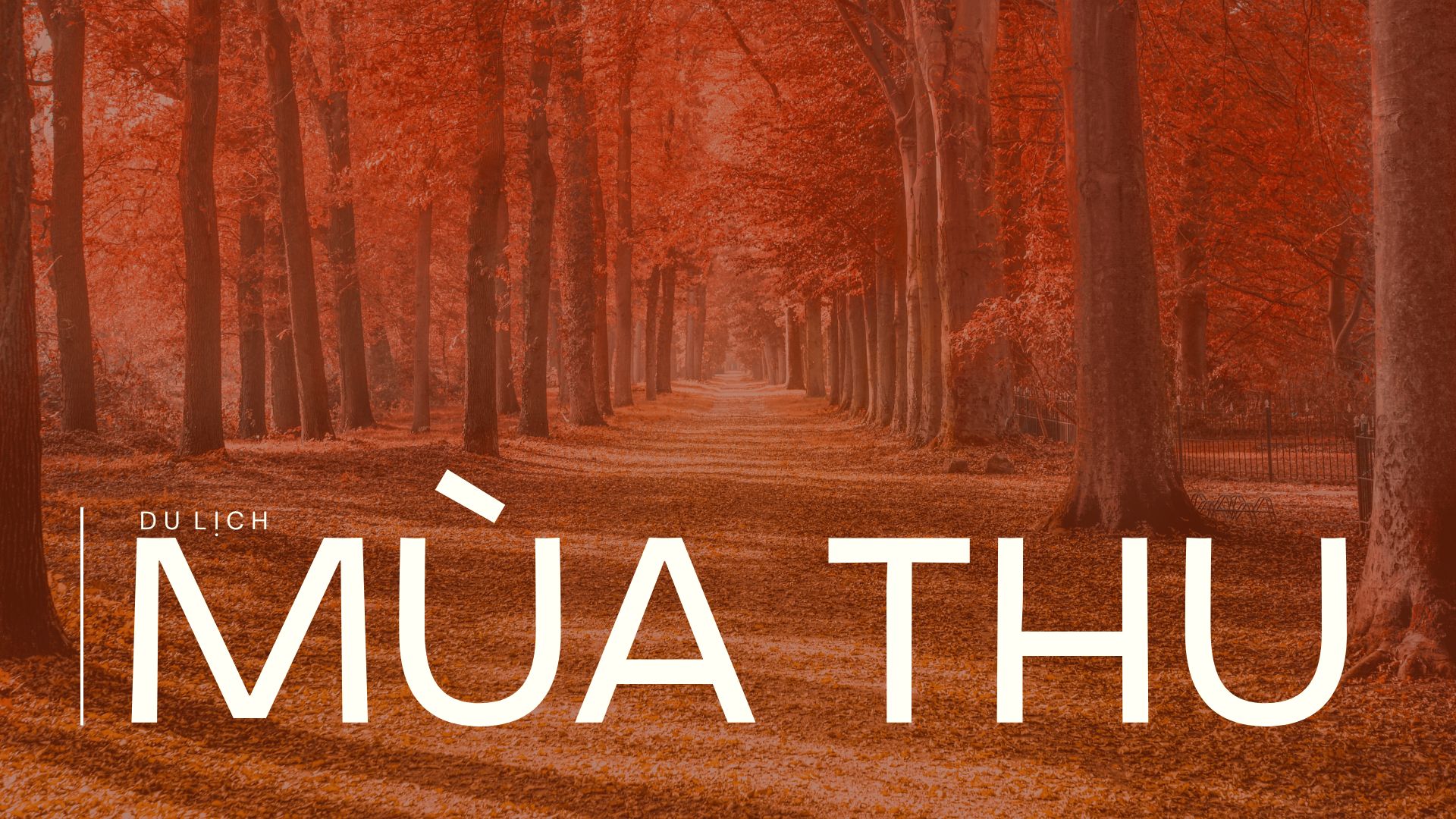 mùa thu