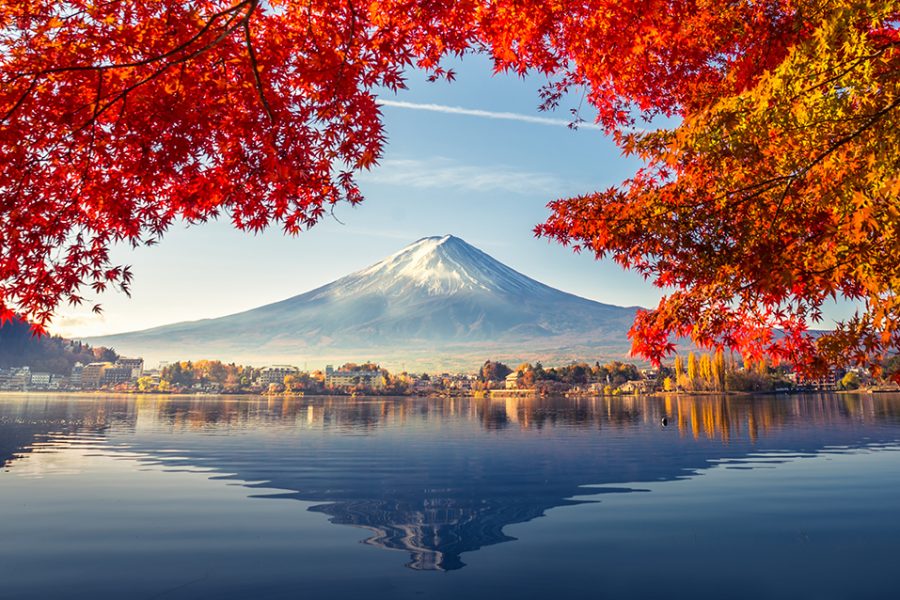 KHÁM PHÁ NHẬT BẢN 2026: TOKYO – PHÚ SĨ – NAGOYA – KYOTO – OSAKA – KOBE