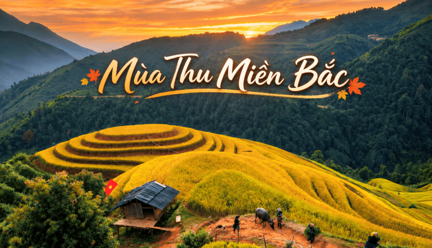 Gợi ý những địa điểm mùa thu miền Bắc Việt Nam đẹp và đáng trải nghiệm 2026